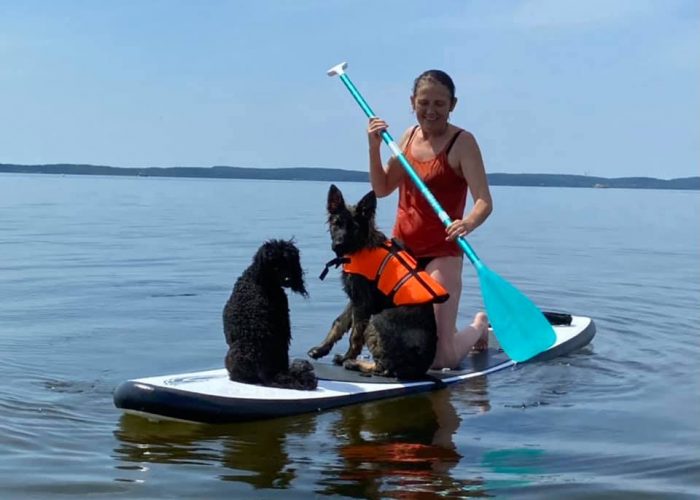 location de paddle avec équipement pour vos chiens